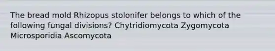 The bread mold Rhizopus stolonifer belongs to which of the following fungal divisions? Chytridiomycota Zygomycota Microsporidia Ascomycota