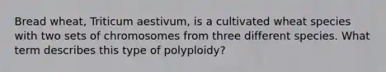 Bread wheat, Triticum aestivum, is a cultivated wheat species with two sets of chromosomes from three different species. What term describes this type of polyploidy?