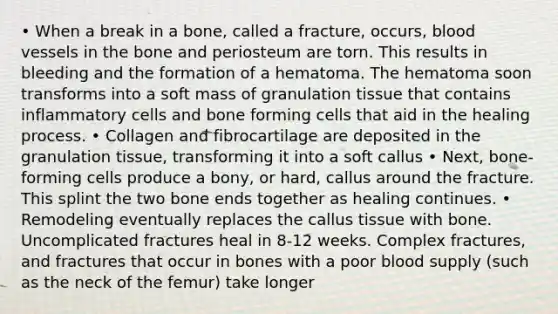 • When a break in a bone, called a fracture, occurs, blood vessels in the bone and periosteum are torn. This results in bleeding and the formation of a hematoma. The hematoma soon transforms into a soft mass of granulation tissue that contains inflammatory cells and bone forming cells that aid in the healing process. • Collagen and fibrocartilage are deposited in the granulation tissue, transforming it into a soft callus • Next, bone- forming cells produce a bony, or hard, callus around the fracture. This splint the two bone ends together as healing continues. • Remodeling eventually replaces the callus tissue with bone. Uncomplicated fractures heal in 8-12 weeks. Complex fractures, and fractures that occur in bones with a poor blood supply (such as the neck of the femur) take longer