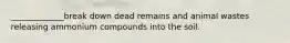 _____________break down dead remains and animal wastes releasing ammonium compounds into the soil.
