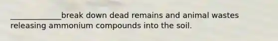 _____________break down dead remains and animal wastes releasing ammonium compounds into the soil.