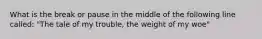 What is the break or pause in the middle of the following line called: "The tale of my trouble, the weight of my woe"