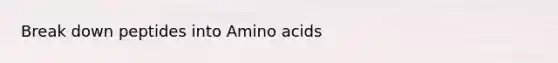 Break down peptides into Amino acids