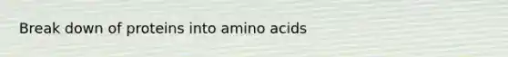 Break down of proteins into amino acids