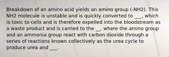 Breakdown of an amino acid yields an amino group (-NH2). This NH2 molecule is unstable and is quickly converted to ___, which is toxic to cells and is therefore expelled into the bloodstream as a waste product and is carried to the __, where the amino group and an ammonia group react with carbon dioxide through a series of reactions known collectively as the urea cycle to produce urea and ___.