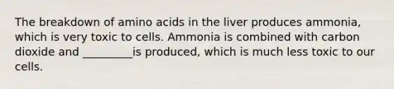 The breakdown of amino acids in the liver produces ammonia, which is very toxic to cells. Ammonia is combined with carbon dioxide and _________is produced, which is much less toxic to our cells.