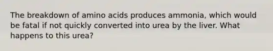 The breakdown of amino acids produces ammonia, which would be fatal if not quickly converted into urea by the liver. What happens to this urea?