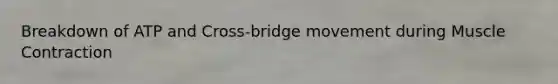 Breakdown of ATP and Cross-bridge movement during Muscle Contraction
