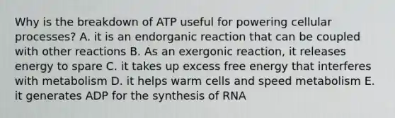 Why is the breakdown of ATP useful for powering cellular processes? A. it is an endorganic reaction that can be coupled with other reactions B. As an exergonic reaction, it releases energy to spare C. it takes up excess free energy that interferes with metabolism D. it helps warm cells and speed metabolism E. it generates ADP for the synthesis of RNA