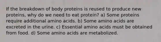 If the breakdown of body proteins is reused to produce new proteins, why do we need to eat protein? a) Some proteins require additional amino acids. b) Some amino acids are excreted in the urine. c) Essential amino acids must be obtained from food. d) Some amino acids are metabolized.