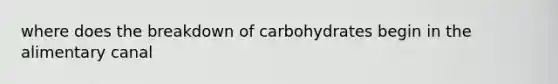 where does the breakdown of carbohydrates begin in the alimentary canal