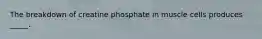 The breakdown of creatine phosphate in muscle cells produces _____.