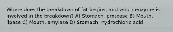 Where does the breakdown of fat begins, and which enzyme is involved in the breakdown? A) Stomach, protease B) Mouth, lipase C) Mouth, amylase D) Stomach, hydrochloric acid