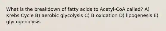 What is the breakdown of fatty acids to Acetyl-CoA called? A) Krebs Cycle B) aerobic glycolysis C) B-oxidation D) lipogenesis E) glycogenolysis