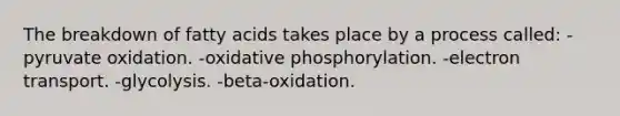 The breakdown of fatty acids takes place by a process called: -pyruvate oxidation. -oxidative phosphorylation. -electron transport. -glycolysis. -beta-oxidation.