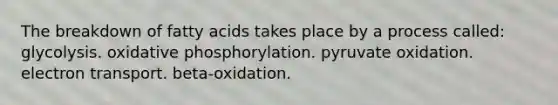 The breakdown of fatty acids takes place by a process called: glycolysis. oxidative phosphorylation. pyruvate oxidation. electron transport. beta-oxidation.