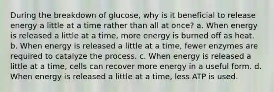 During the breakdown of glucose, why is it beneficial to release energy a little at a time rather than all at once? a. When energy is released a little at a time, more energy is burned off as heat. b. When energy is released a little at a time, fewer enzymes are required to catalyze the process. c. When energy is released a little at a time, cells can recover more energy in a useful form. d. When energy is released a little at a time, less ATP is used.