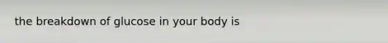 the breakdown of glucose in your body is