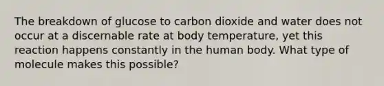 The breakdown of glucose to carbon dioxide and water does not occur at a discernable rate at body temperature, yet this reaction happens constantly in the human body. What type of molecule makes this possible?