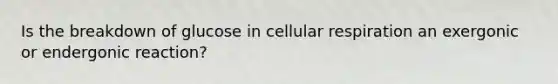 Is the breakdown of glucose in <a href='https://www.questionai.com/knowledge/k1IqNYBAJw-cellular-respiration' class='anchor-knowledge'>cellular respiration</a> an exergonic or endergonic reaction?