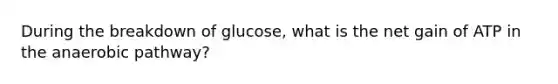 During the breakdown of glucose, what is the net gain of ATP in the anaerobic pathway?