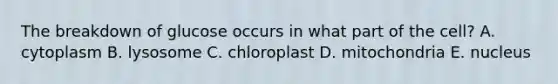 The breakdown of glucose occurs in what part of the cell? A. cytoplasm B. lysosome C. chloroplast D. mitochondria E. nucleus