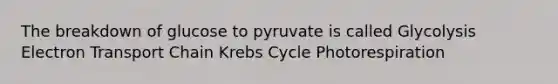 The breakdown of glucose to pyruvate is called Glycolysis Electron Transport Chain Krebs Cycle Photorespiration