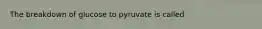 The breakdown of glucose to pyruvate is called