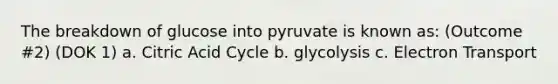 The breakdown of glucose into pyruvate is known as: (Outcome #2) (DOK 1) a. Citric Acid Cycle b. glycolysis c. Electron Transport