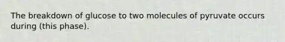 The breakdown of glucose to two molecules of pyruvate occurs during (this phase).