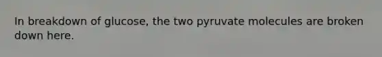 In breakdown of glucose, the two pyruvate molecules are broken down here.