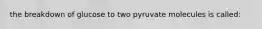 the breakdown of glucose to two pyruvate molecules is called: