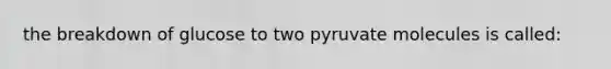 the breakdown of glucose to two pyruvate molecules is called: