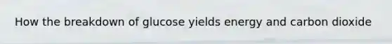 How the breakdown of glucose yields energy and carbon dioxide