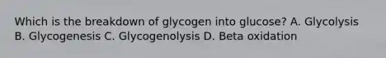 Which is the breakdown of glycogen into glucose? A. Glycolysis B. Glycogenesis C. Glycogenolysis D. Beta oxidation