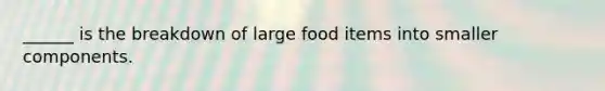 ______ is the breakdown of large food items into smaller components.