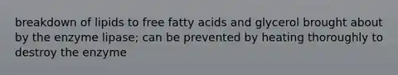 breakdown of lipids to free fatty acids and glycerol brought about by the enzyme lipase; can be prevented by heating thoroughly to destroy the enzyme