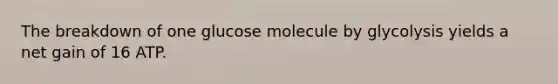 The breakdown of one glucose molecule by glycolysis yields a net gain of 16 ATP.