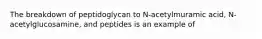 The breakdown of peptidoglycan to N-acetylmuramic acid, N-acetylglucosamine, and peptides is an example of