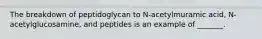 The breakdown of peptidoglycan to N-acetylmuramic acid, N-acetylglucosamine, and peptides is an example of _______.