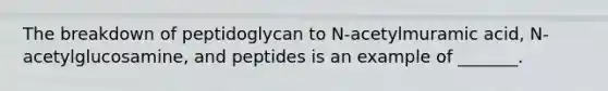 The breakdown of peptidoglycan to N-acetylmuramic acid, N-acetylglucosamine, and peptides is an example of _______.