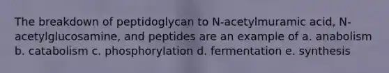 The breakdown of peptidoglycan to N-acetylmuramic acid, N-acetylglucosamine, and peptides are an example of a. anabolism b. catabolism c. phosphorylation d. fermentation e. synthesis