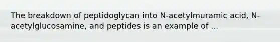 The breakdown of peptidoglycan into N-acetylmuramic acid, N-acetylglucosamine, and peptides is an example of ...