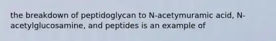 the breakdown of peptidoglycan to N-acetymuramic acid, N-acetylglucosamine, and peptides is an example of