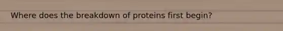 Where does the breakdown of proteins first begin?