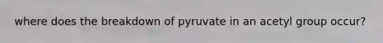 where does the breakdown of pyruvate in an acetyl group occur?