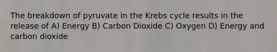 The breakdown of pyruvate in the Krebs cycle results in the release of A) Energy B) Carbon Dioxide C) Oxygen D) Energy and carbon dioxide