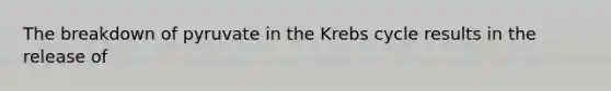 The breakdown of pyruvate in the Krebs cycle results in the release of