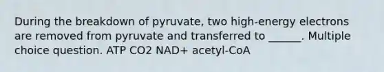 During the breakdown of pyruvate, two high-energy electrons are removed from pyruvate and transferred to ______. Multiple choice question. ATP CO2 NAD+ acetyl-CoA