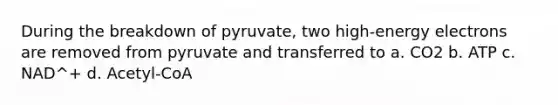 During the breakdown of pyruvate, two high-energy electrons are removed from pyruvate and transferred to a. CO2 b. ATP c. NAD^+ d. Acetyl-CoA